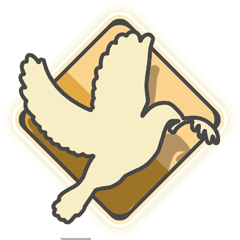 Ask Questions First, Shoot Later