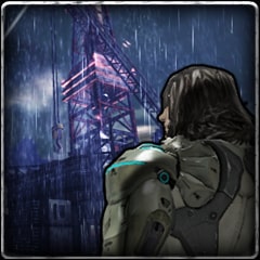 Defending Coastal Anarchy