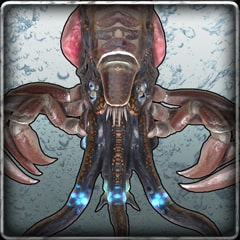 Anarchy in the Calamari