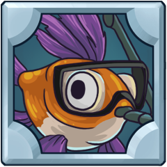 Shell Beach Reopened!