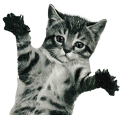 Look at the size of this electricity bill!