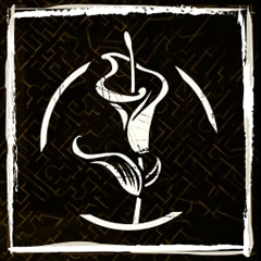 Outpatient Procedure