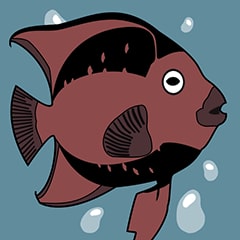 Você não é um anjo