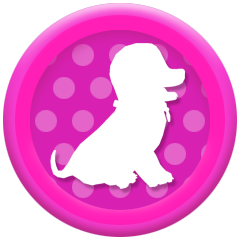 Cachorrinho Paciente