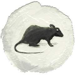 O Flautista de Hamelin