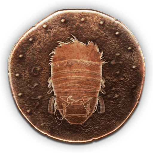 Troféu do Velho Herói