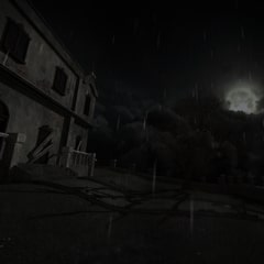 Allison's Diary Story